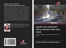 Copertina di Impatti socio-ambientali dell'occupazione delle zone umide