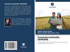 Borítókép a  Computermethodik SEMEARE - hoz