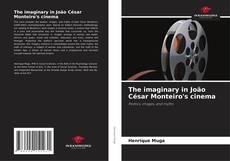 The imaginary in João César Monteiro's cinema的封面