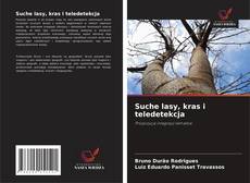 Buchcover von Suche lasy, kras i teledetekcja