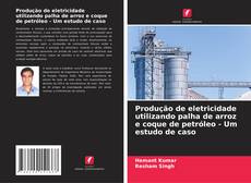 Capa do livro de Produção de eletricidade utilizando palha de arroz e coque de petróleo - Um estudo de caso 