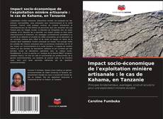 Copertina di Impact socio-économique de l'exploitation minière artisanale : le cas de Kahama, en Tanzanie