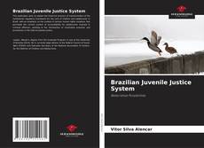 Обложка Brazilian Juvenile Justice System