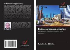 Bookcover of Beton samozagęszczalny