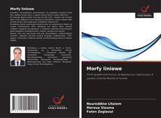 Copertina di Morfy liniowe