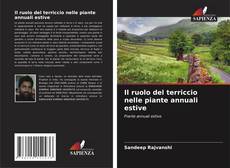 Il ruolo del terriccio nelle piante annuali estive的封面