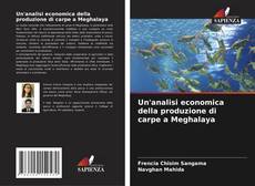 Un'analisi economica della produzione di carpe a Meghalaya的封面