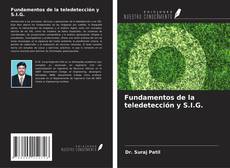 Buchcover von Fundamentos de la teledetección y S.I.G.