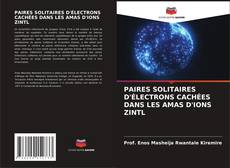 Bookcover of PAIRES SOLITAIRES D'ÉLECTRONS CACHÉES DANS LES AMAS D'IONS ZINTL