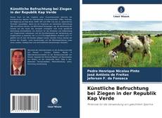 Copertina di Künstliche Befruchtung bei Ziegen in der Republik Kap Verde
