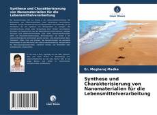 Copertina di Synthese und Charakterisierung von Nanomaterialien für die Lebensmittelverarbeitung