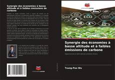Capa do livro de Synergie des économies à basse altitude et à faibles émissions de carbone 