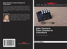 João Ternura: from Cinema to Literature的封面