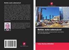Betão auto-adensável的封面