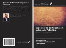 Copertina di Especies de Bartonella en pulgas de Palestina