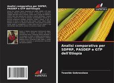 Borítókép a  Analisi comparativa per SDPRP, PASDEP e GTP dell'Etiopia - hoz