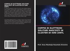 Borítókép a  COPPIE DI ELETTRONI SOLITARI NASCOSTI IN CLUSTER DI IONI ZINTL - hoz