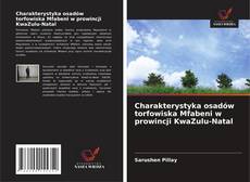 Bookcover of Charakterystyka osadów torfowiska Mfabeni w prowincji KwaZulu-Natal
