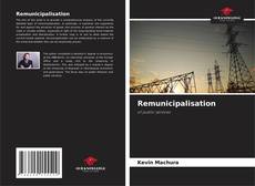 Borítókép a  Remunicipalisation - hoz
