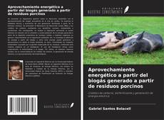 Aprovechamiento energético a partir del biogás generado a partir de residuos porcinos的封面