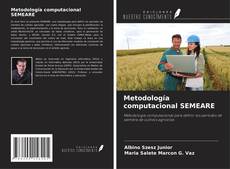Buchcover von Metodología computacional SEMEARE