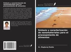 Copertina di Síntesis y caracterización de nanomateriales para el procesamiento de alimentos