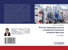 Copertina di Очистка природных вод на усовершенствованном напорном фильтре
