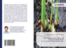 Bookcover of PHYTOCHEMICAL ANALYSIS Curcuma amada Roxb.