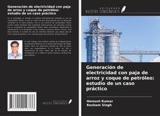 Copertina di Generación de electricidad con paja de arroz y coque de petróleo: estudio de un caso práctico