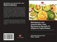 Capa do livro de Résistance aux insecticides chez Bactocera dorsalis H. (Diptera:Tephritidae) 