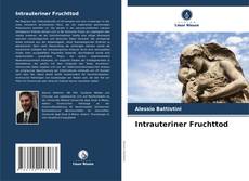 Portada del libro de Intrauteriner Fruchttod