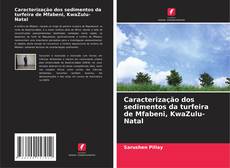 Borítókép a  Caracterização dos sedimentos da turfeira de Mfabeni, KwaZulu-Natal - hoz