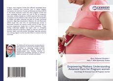 Bookcover of Empowering Mothers: Understanding Antenatal Care for Pregnant women
