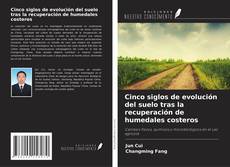Buchcover von Cinco siglos de evolución del suelo tras la recuperación de humedales costeros