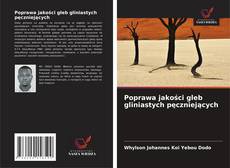 Copertina di Poprawa jakości gleb gliniastych pęczniejących