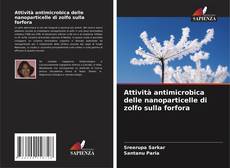 Copertina di Attività antimicrobica delle nanoparticelle di zolfo sulla forfora