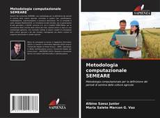 Metodologia computazionale SEMEARE kitap kapağı