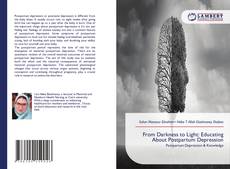 Capa do livro de From Darkness to Light: Educating About Postpartum Depression 