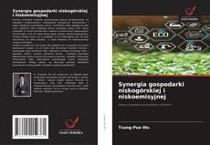 Synergia gospodarki niskogórskiej i niskoemisyjnej的封面