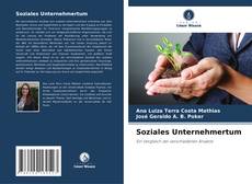 Copertina di Soziales Unternehmertum