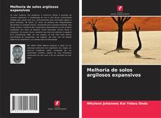 Copertina di Melhoria de solos argilosos expansivos
