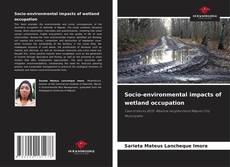 Portada del libro de Socio-environmental impacts of wetland occupation