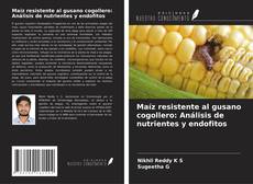 Copertina di Maíz resistente al gusano cogollero: Análisis de nutrientes y endofitos