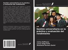 Copertina di Gestión universitaria en la práctica y evaluación del rendimiento