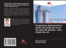 Portada del libro de Production d'électricité à partir de paille de riz et de coke de pétrole - Une étude de cas