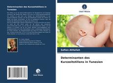 Portada del libro de Determinanten des Kurzzeitstillens in Tunesien