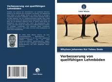Copertina di Verbesserung von quellfähigen Lehmböden