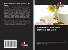 Copertina di Fotoossidazione delle proteine del latte