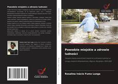 Powodzie miejskie a zdrowie ludności的封面