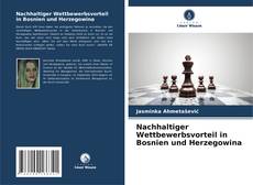 Copertina di Nachhaltiger Wettbewerbsvorteil in Bosnien und Herzegowina